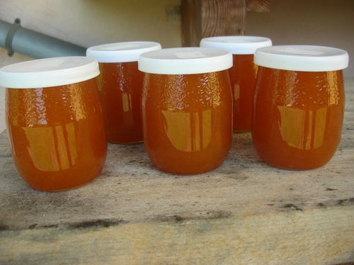 Confiture-d-abricots-007.JPG