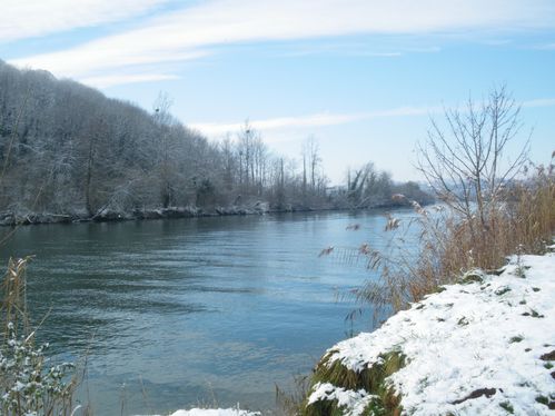 IMGP0684