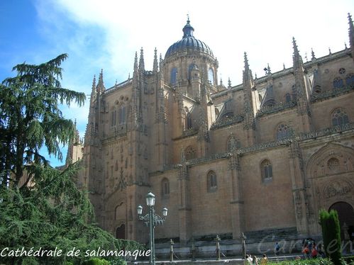 Cathedrale-de-Salamanque.jpg