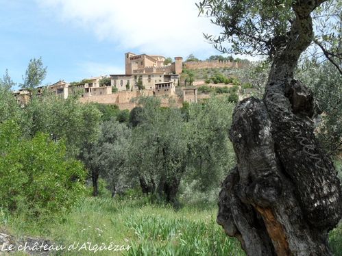 Chateau-d-alquezarSAM_9257-BorderMaker.jpg