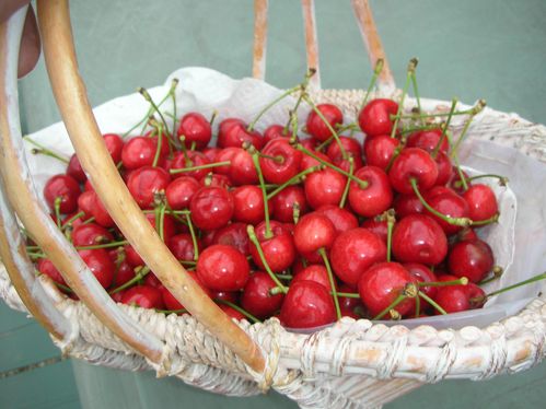 cerises