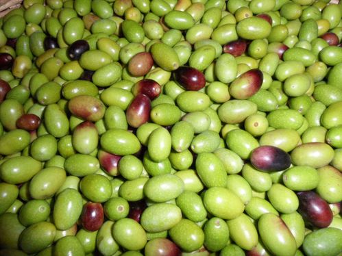 olives