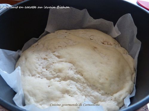 P1110761-borderpain-cuit-en-cocotte-au-levain-Bichon.jpg