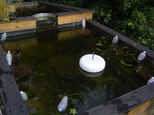 bassin de jardin gel