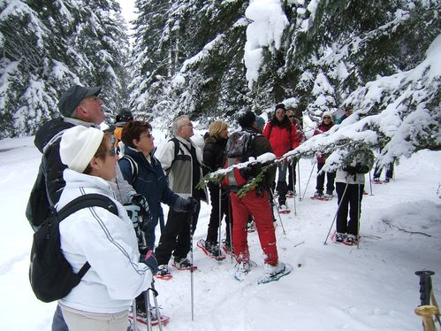 JRL à Saint LARY 087