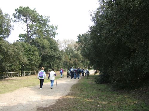 Saint Brévin 04 2010 003