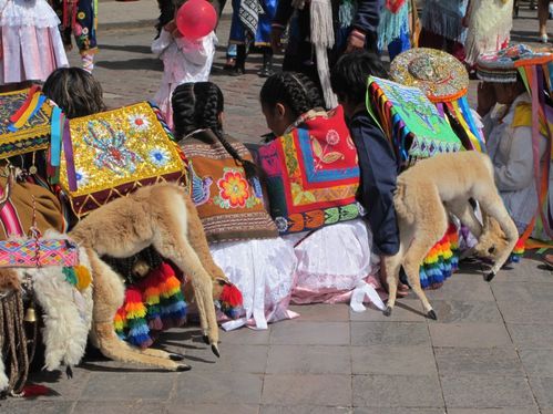 Cusco-2 4190