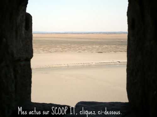 fenetre-2.jpg