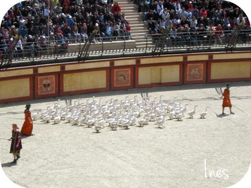 Puy du Fou 3