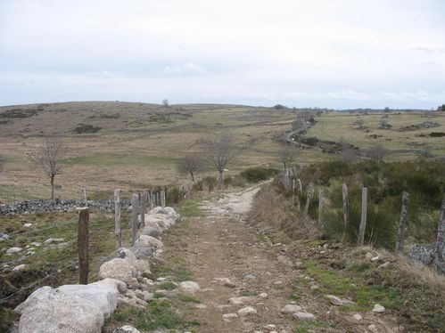 des clotures en barbelés ! dommage