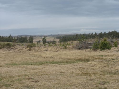 le plateau de l Aubrac