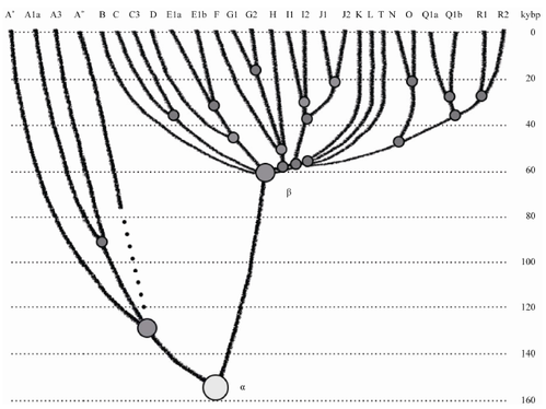 Figure3-ooA