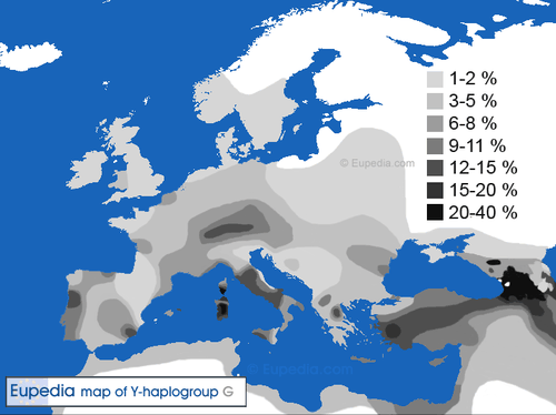 haplogroup G
