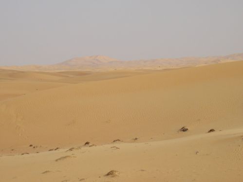 desert 06