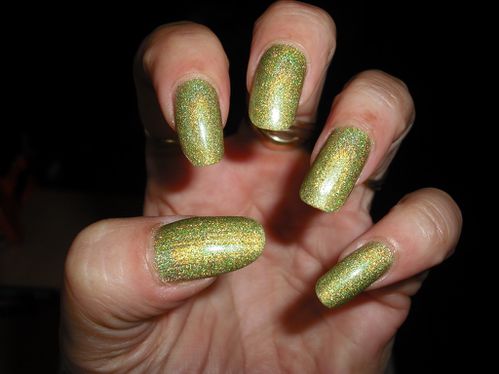 Milani-holo-3.jpg