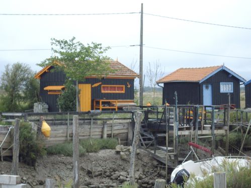IMGP8448