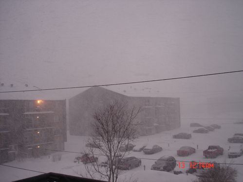 tempête de neige 12.02.2011 001