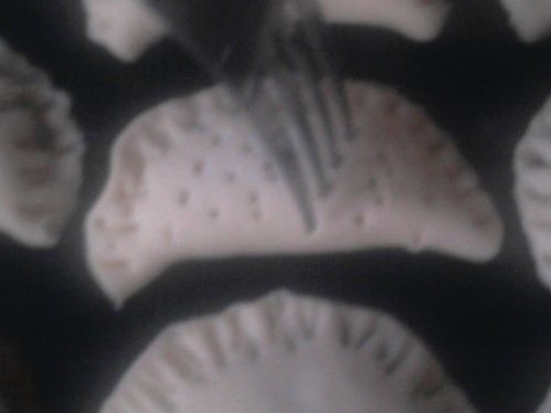 Photo0220.jpg