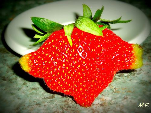 fraise.JPG