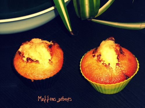 Muffins-zebres.jpg