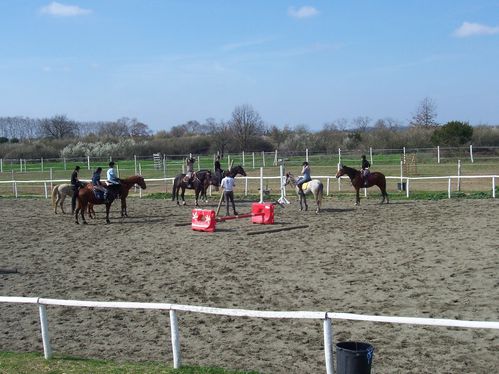 cours-equitation-20-03-2011-024.jpg