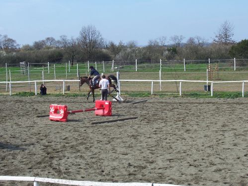 cours-equitation-20-03-2011-044.jpg