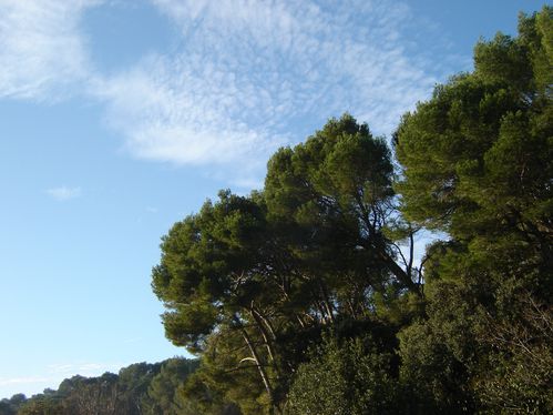 NUAGES-005.JPG