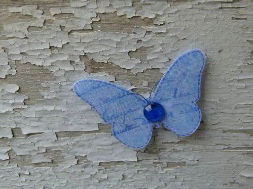 2271-papillon.jpg
