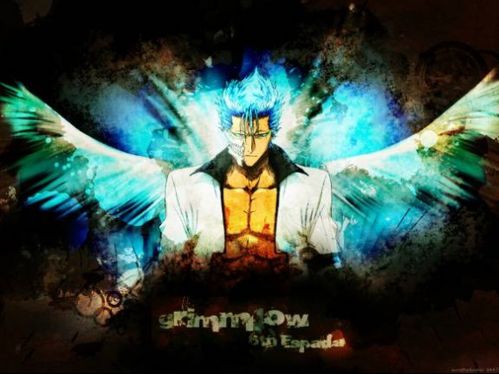 Bleach Kai Vostfr