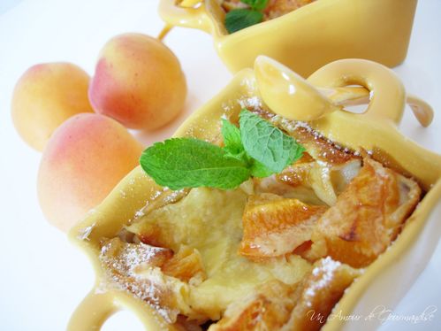 clafoutis-abricots31.jpg