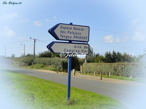 Les-Palujous-01-copie-1.jpg