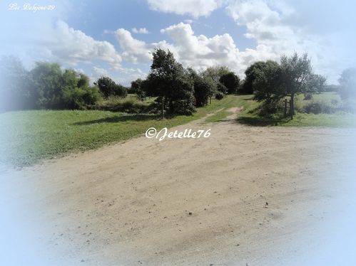 Les-Palujous-03.jpg