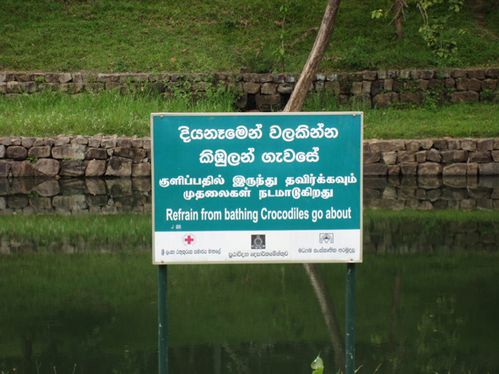 Sri-Lanka-2-2061.JPG