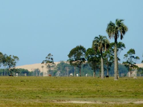 P1040205