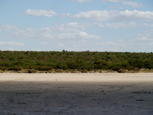 P1040567