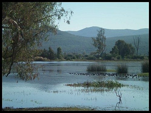 parc-el-kala-tonga