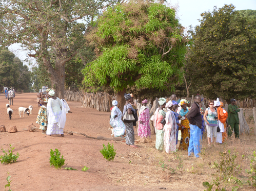 Terrain pour local femmes