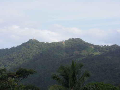 DSCN0877