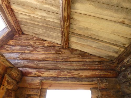 cabane-interieur.jpg