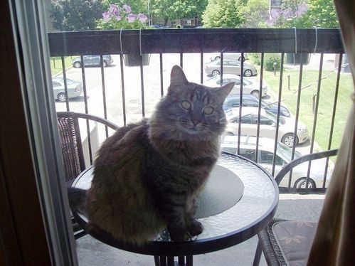 balcon-mimi-090612.jpg