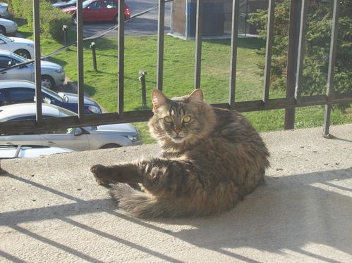 balcon soleil -3