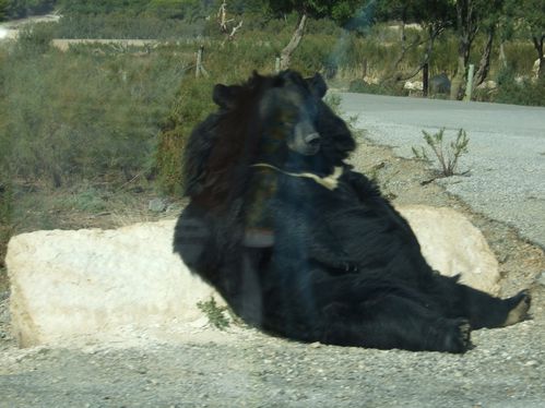 DSCF4901.JPG