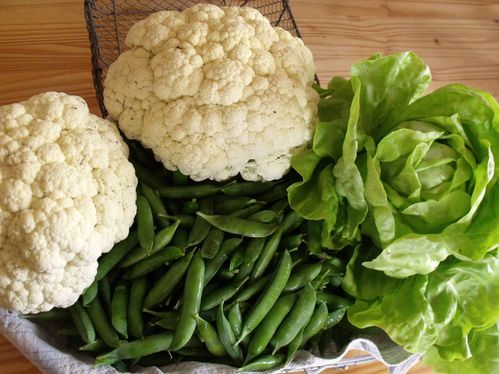 panier-de-legumes.JPG