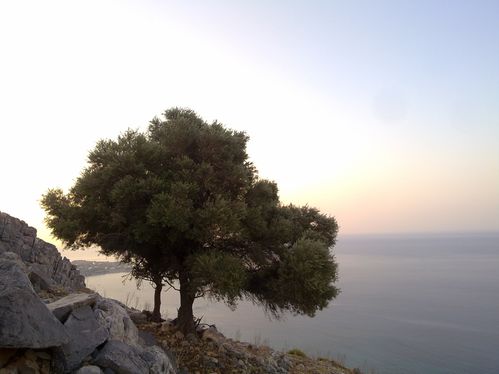 24072012625.jpg