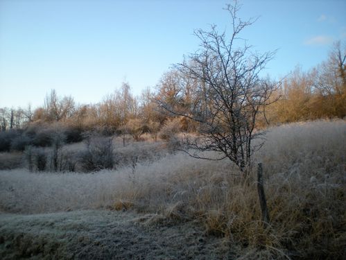 girve-again-11-12-09