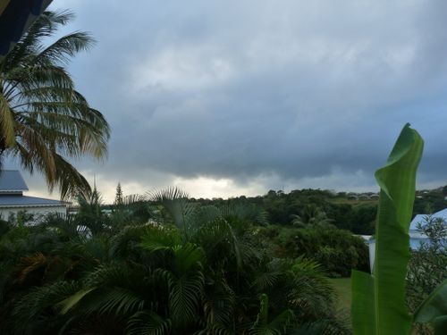 P1010856