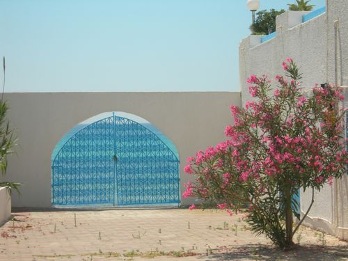 DSCN0414.JPG