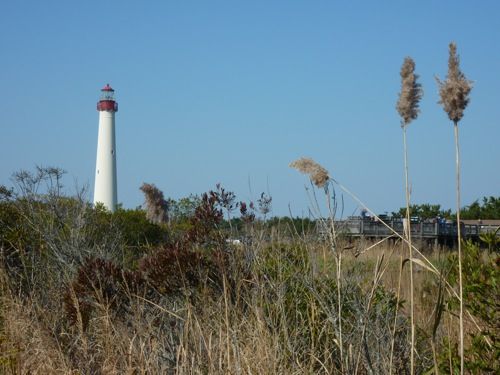 P1010509