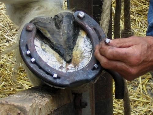 [Image: fer-a-cheval-1.jpg]