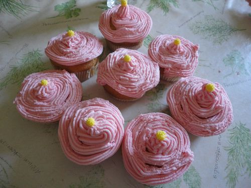 cupcakes3105111.jpg